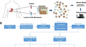 good research topics about cancer