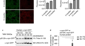 research articles neuroscience