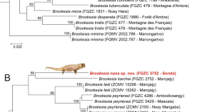 idea paper ecological research