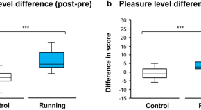 research articles neuroscience