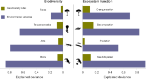 ecology research articles