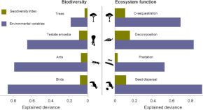 research paper related to environmental science