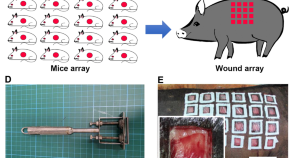 latest research topics in software engineering 2022