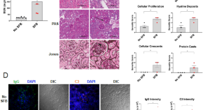 medical microbiology dissertation