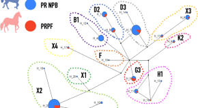 research environment articles