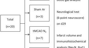 recent research papers on neuroscience