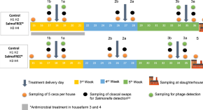 topics for dissertation in microbiology