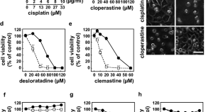 article about cancer research