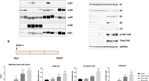 recent research topics in cell biology