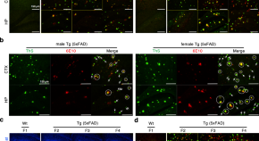 research articles neuroscience