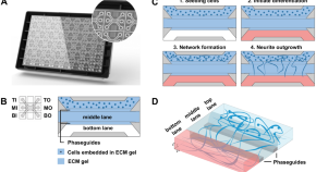 recent research topics in cell biology