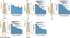 research articles neuroscience