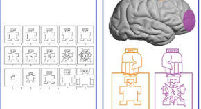 research articles neuroscience