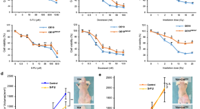 article about cancer research