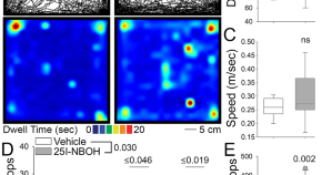 research articles neuroscience