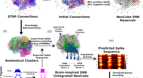 research topics for neurology