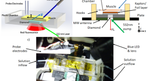 physics phd research topics