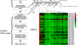 article about cancer research