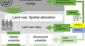 history of ecology research paper