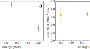 physics phd research topics