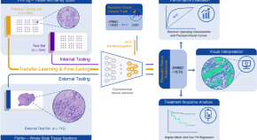 good research topics about cancer