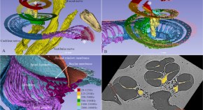 physics phd research topics