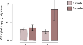 history of ecology research paper