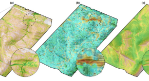 idea paper ecological research