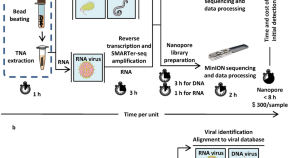 phd medical microbiology research topics