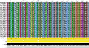 recent research topics in cell biology