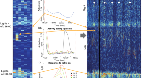 research articles neuroscience