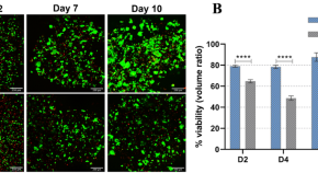 recent research topics in cell biology