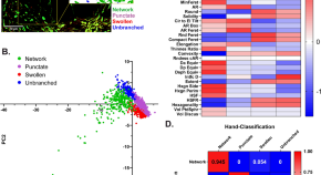 research articles neuroscience