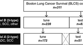 article about cancer research