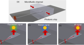 physics phd research topics