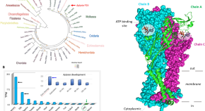 research articles neuroscience