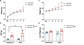 research articles neuroscience