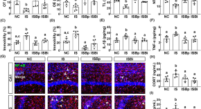 research articles neuroscience