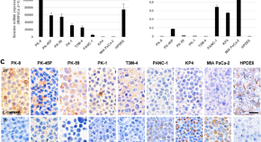 article about cancer research