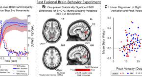 research articles neuroscience