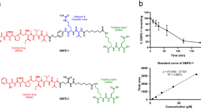 good research topics about cancer