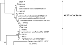 microbiology research proposal topics