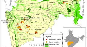 ecology research articles ecology research articles