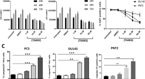 article about cancer research