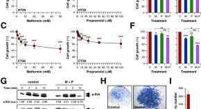 good research topics about cancer