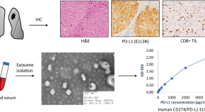 cancer science research paper