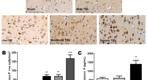 research articles neuroscience