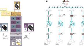 research articles neuroscience