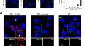 recent research topics in cell biology