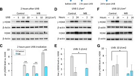 recent research topics in cell biology